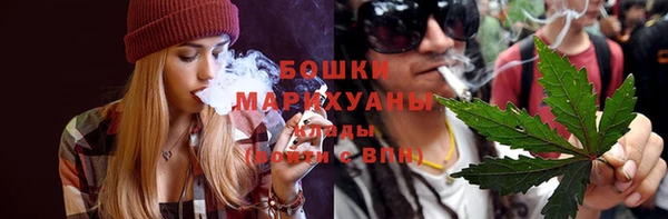 твердый Магас