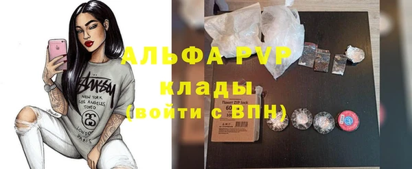 твердый Магас