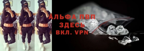 твердый Магас